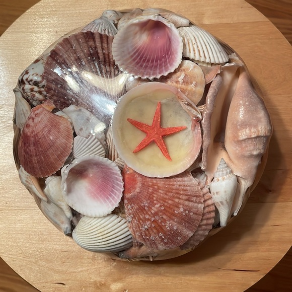 Shell Home Decor - Picture 3 of 9